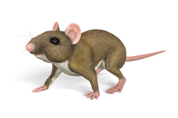 A running mouse isolated on a white background - 3d illustration