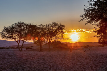 Fototapeta na wymiar beautiful sunrise in hidden Dead Vlei in Namib desert, rising morning sun, Namibia, Africa wilderness landscape
