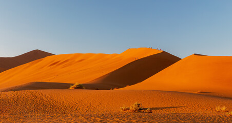 Naklejka na ściany i meble arid dead sunrise landscape, hidden Dead Vlei in Namib desert, dune with morning sun, Namibia, Africa wilderness landscape