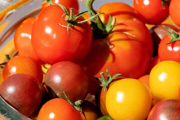 Fototapeta na wymiar bunte Tomaten