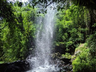 waterfall in jungle