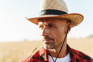 Fototapeta premium Image of unshaven adult man with wheat ear in her mouth looking aside