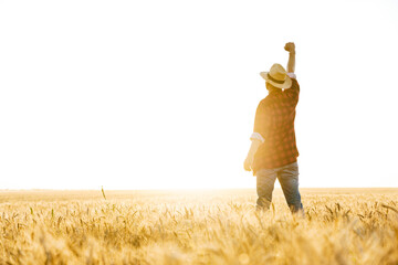 Image of man making winner gesture while standing at cereal field