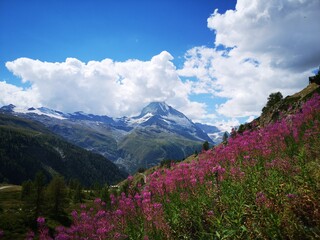 Fototapeta na wymiar Amazing beautiful view of Swiss Alps. Mountains