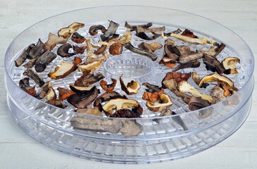Dried mushrooms slices on food dehydrator tray.Dried porcini mushrooms