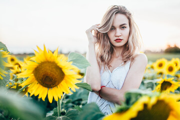 Young, slender girl in a white T-shirt poses at sunset in a field of sunflowers