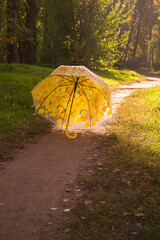 Umbrella with a pattern of autumn leaves. Path. Garland on the umbrella. - 369701949
