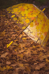 Umbrella lies on the autumn leaves. Sunny autumn day. Umbrella in the fall foliage. - 369702126