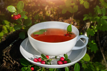 A white cup with fresh herbal tea stands on a tree stump in the forest. Lingonberries are in the...