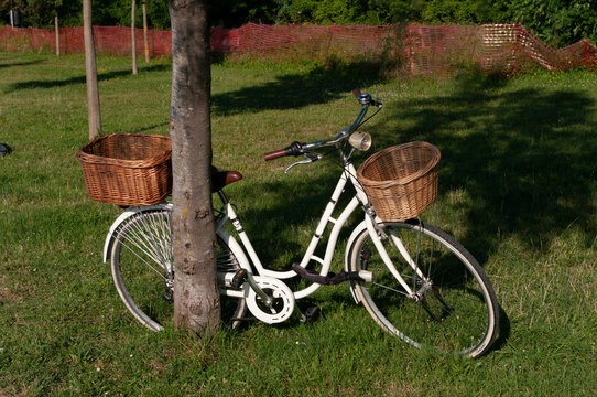 a white bicycle with wooden basket near tree in paked in park.