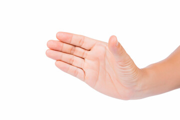 Human Hand Isolated On White Background