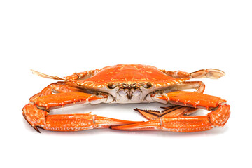 Cooked blue swimmer crab or Sand crab isolated on white background.