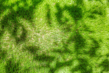 Bright green plastic grass as garden and yard decor