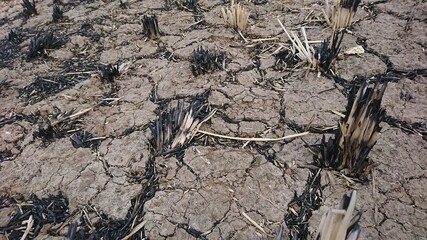 Pieces of dry straw that burned and cracked soil