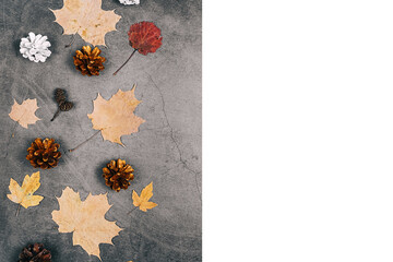 Autumn, thanksgiving day and winter concept. Horizontal images of dried leaves, small pine cone on dark concrete and white background with copy space for advertisement. Flat lay top view