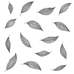 A set of decorative elements made of tree leaves. Hand ink drawing.