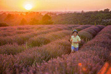 Cute little child, beautiful boy, playing in lavender field