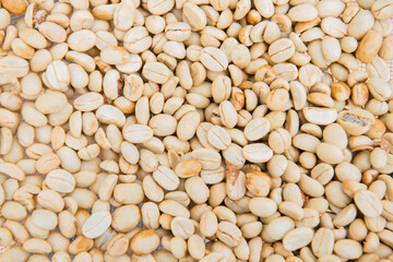 Drying coffee beans in the sun