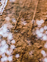 Tyre tracks in a clear water puddle