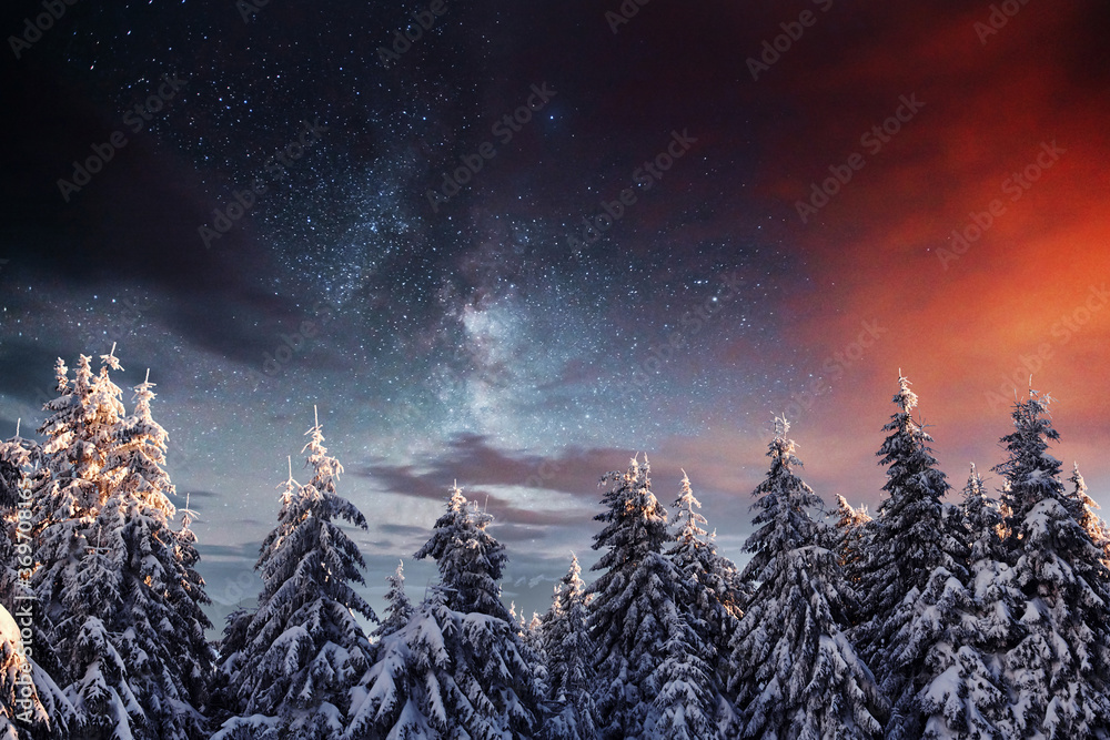 Wall mural starry sky in winter snowy night. majestic landscape. courtesy of nasa