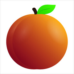 Vector illustration of a peach