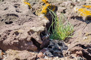 Rocks of volcanic origin on the beach of the island of Lihada-Greece 