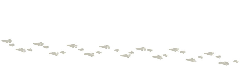 Rat tracks. Typical footprints of a house rat. Isolated icon vector illustration on white background.
