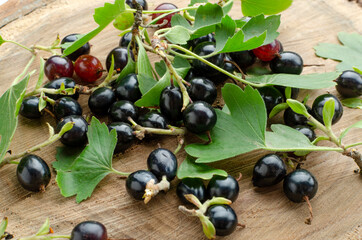 Closeup of blackcurrant with green leaves n the wooden board
