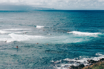 surfing the waves on Maui Hawaii