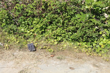 Pollution masque COVID