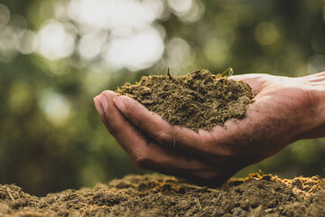 Manure or manure in the hands of farmers in a central pet farm. © 994yellow