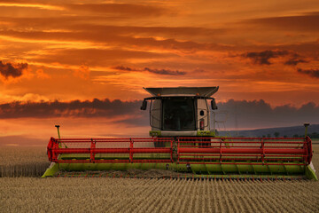 Fototapeta premium Eine Erntemaschine auf einem Feld bei Sonnenuntergang