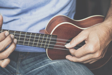 A young man playing the ukulele, Concept music player