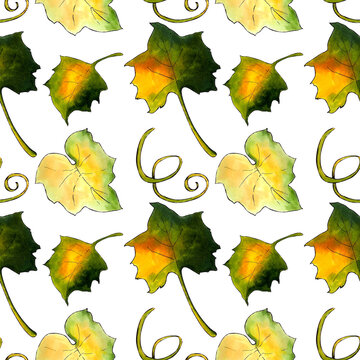 Seamless pattern with leaves on white background Hand draw illustration.