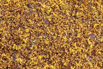 Yellow dried flowers and dry leaves texture background