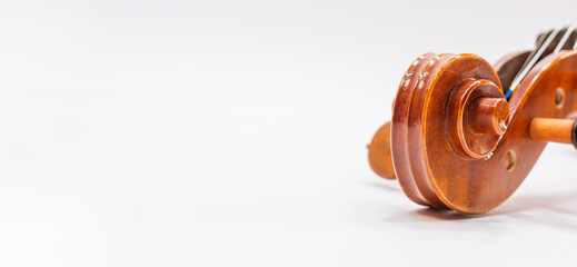 violin scroll with tuning pegs close up