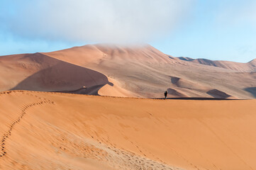 Fototapeta na wymiar View from sickle shaped sand dune at Sossusvlei towards north