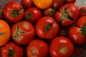 Abundance ripe organic tomatoes on dark rustic background. Colorful tomatoes 
