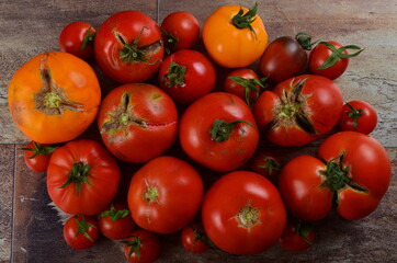 Abundance ripe organic tomatoes on dark rustic background. Colorful tomatoes 
