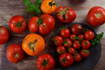 Abundance ripe organic tomatoes on dark rustic background. Colorful tomatoes 