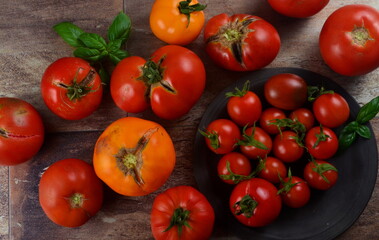 Abundance ripe organic tomatoes on dark rustic background. Colorful tomatoes 