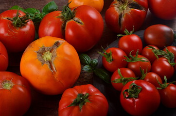 Abundance ripe organic tomatoes on dark rustic background. Colorful tomatoes 