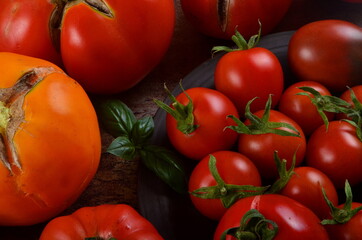 Abundance ripe organic tomatoes on dark rustic background. Colorful tomatoes 