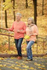 Portrait of smiling senior couple in autumn park