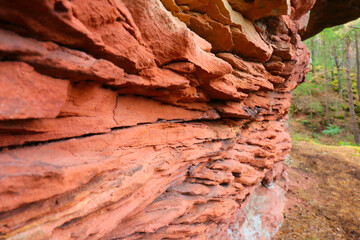 close-up of a red rock in the Palatinate Forest