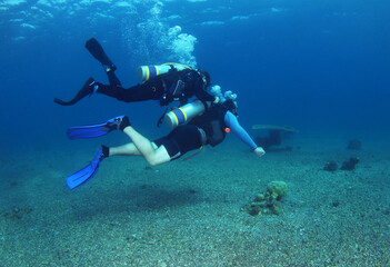 Diving instructor and student in underwater exercise. Instructor teaches student to admire. Underwater scuba diving education and training.