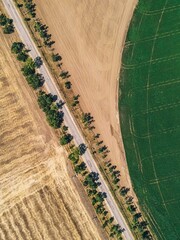.road in the middle of the field