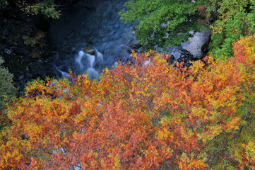 紅葉に色づく道志村