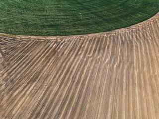 .field texture top view from drone