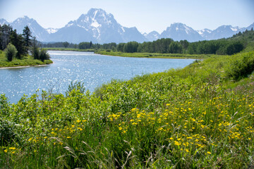 Grand Teton